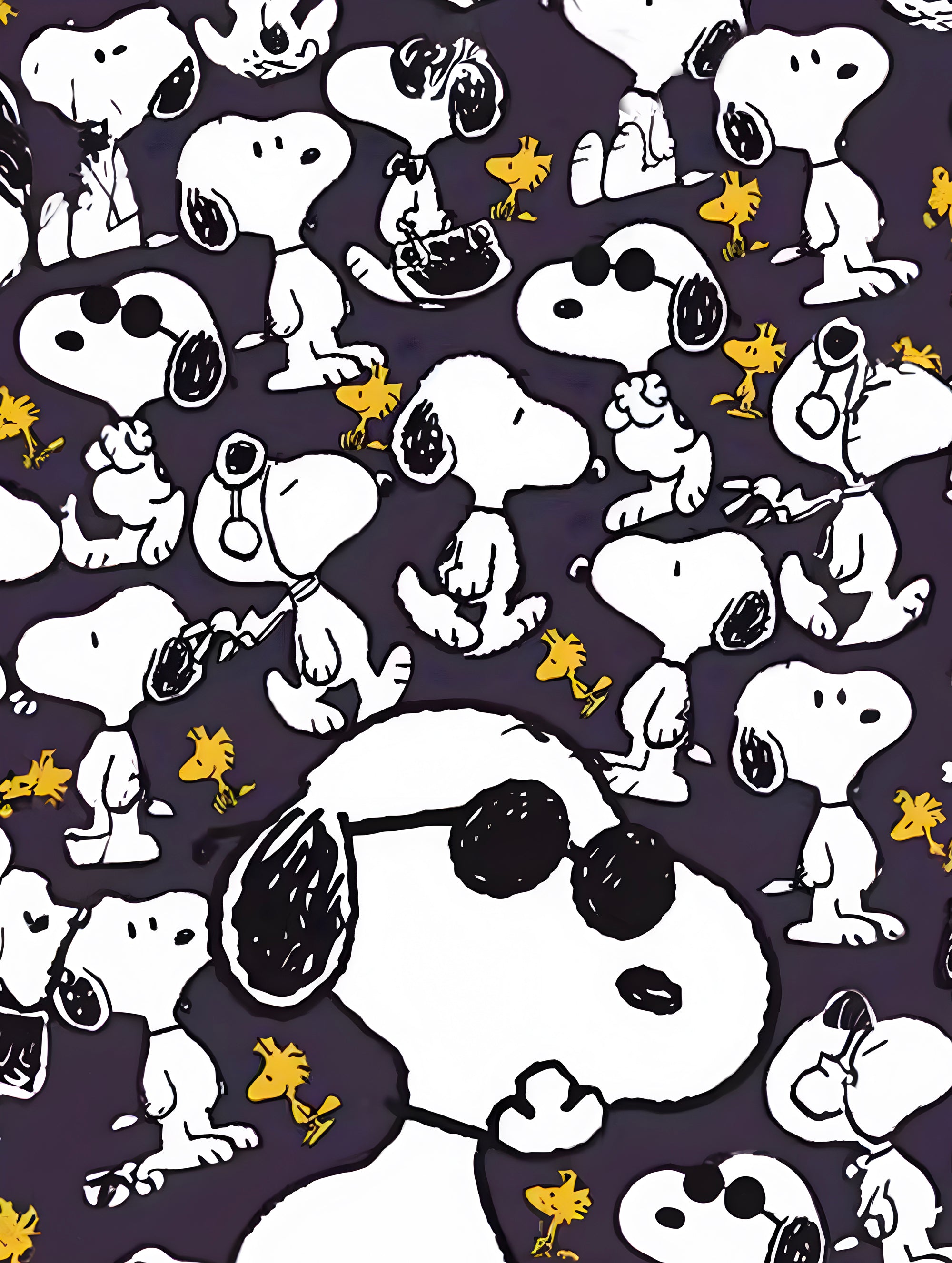 Tableau Snoopy Cool Pattern - Décoration Murale Originale - Fabulartz.fr 