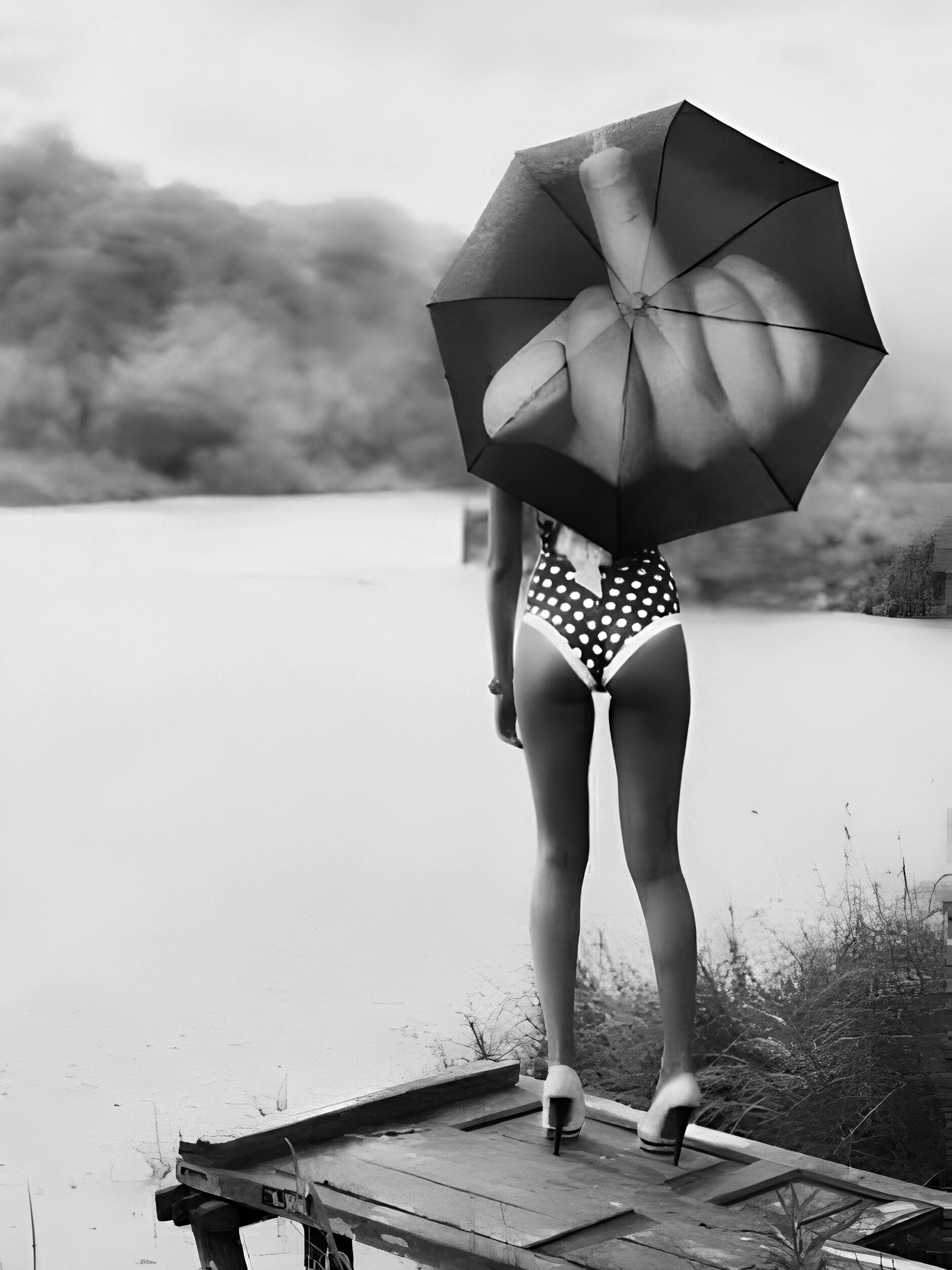 Tableau Vintage - Femme avec Parapluie Provocateur