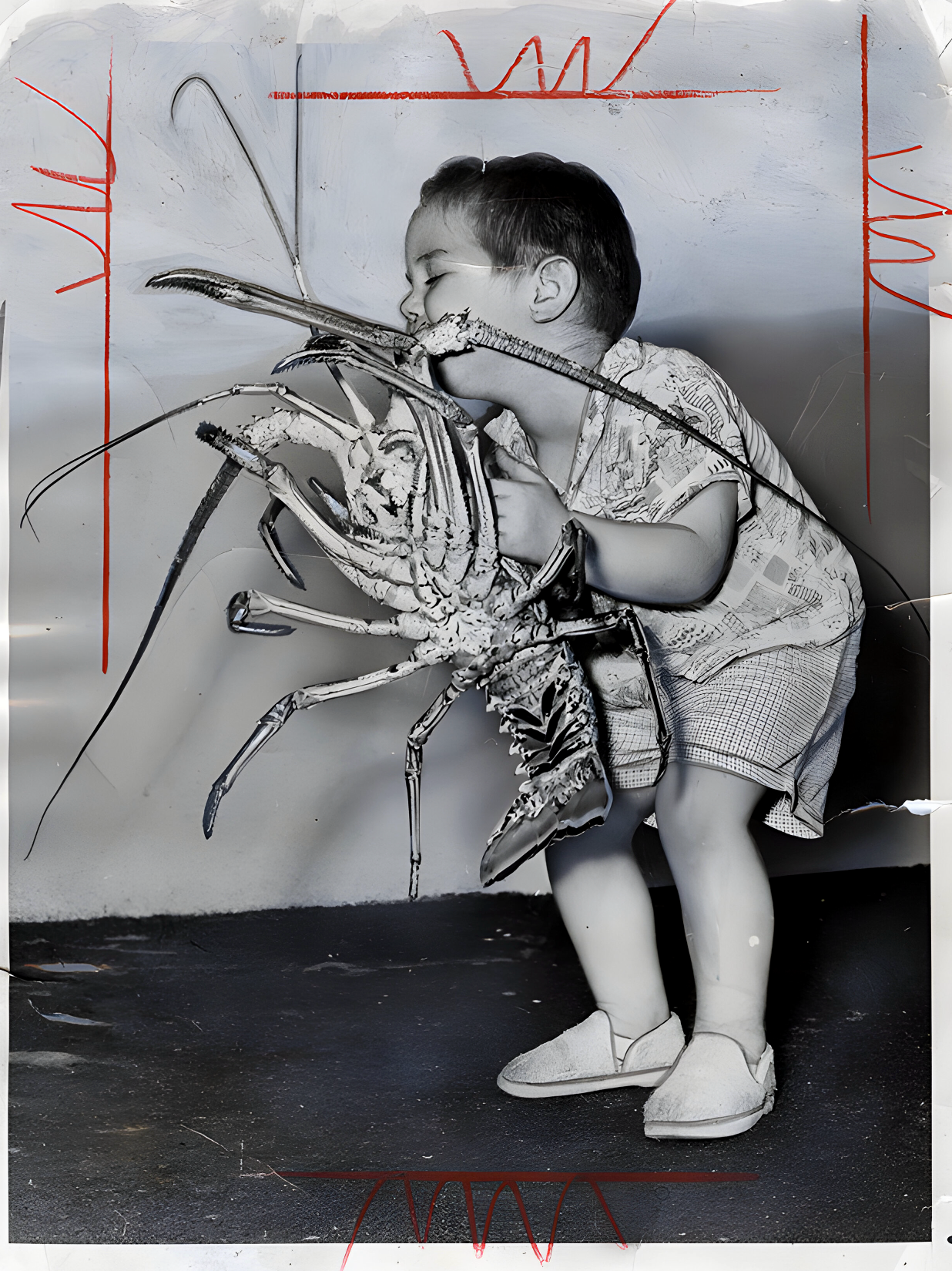 Tableau Noir Et Blanc Vintage - L’Étreinte de la Langouste