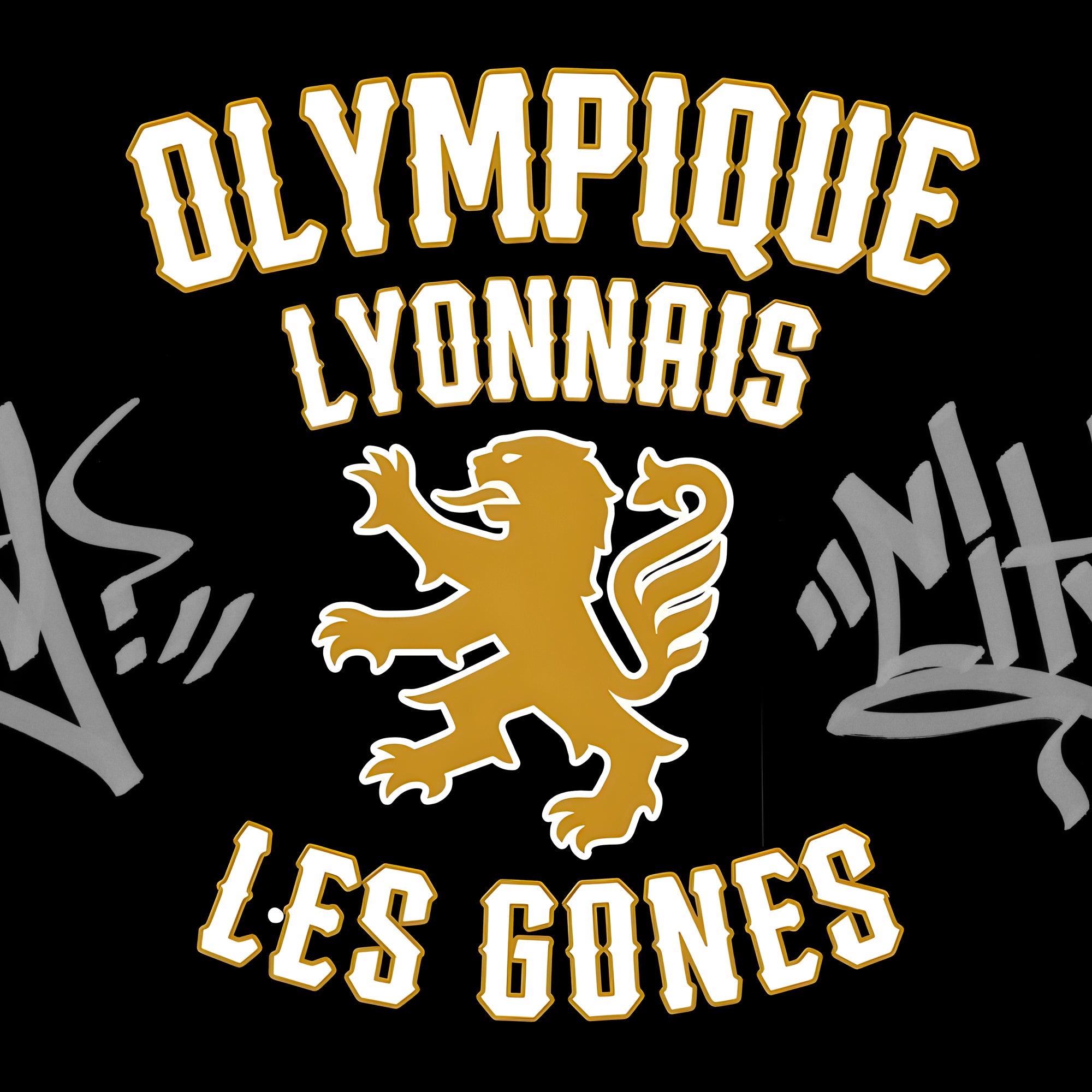 Tableau Olympique Lyonnais - Les Gones - Fabulartz.fr 