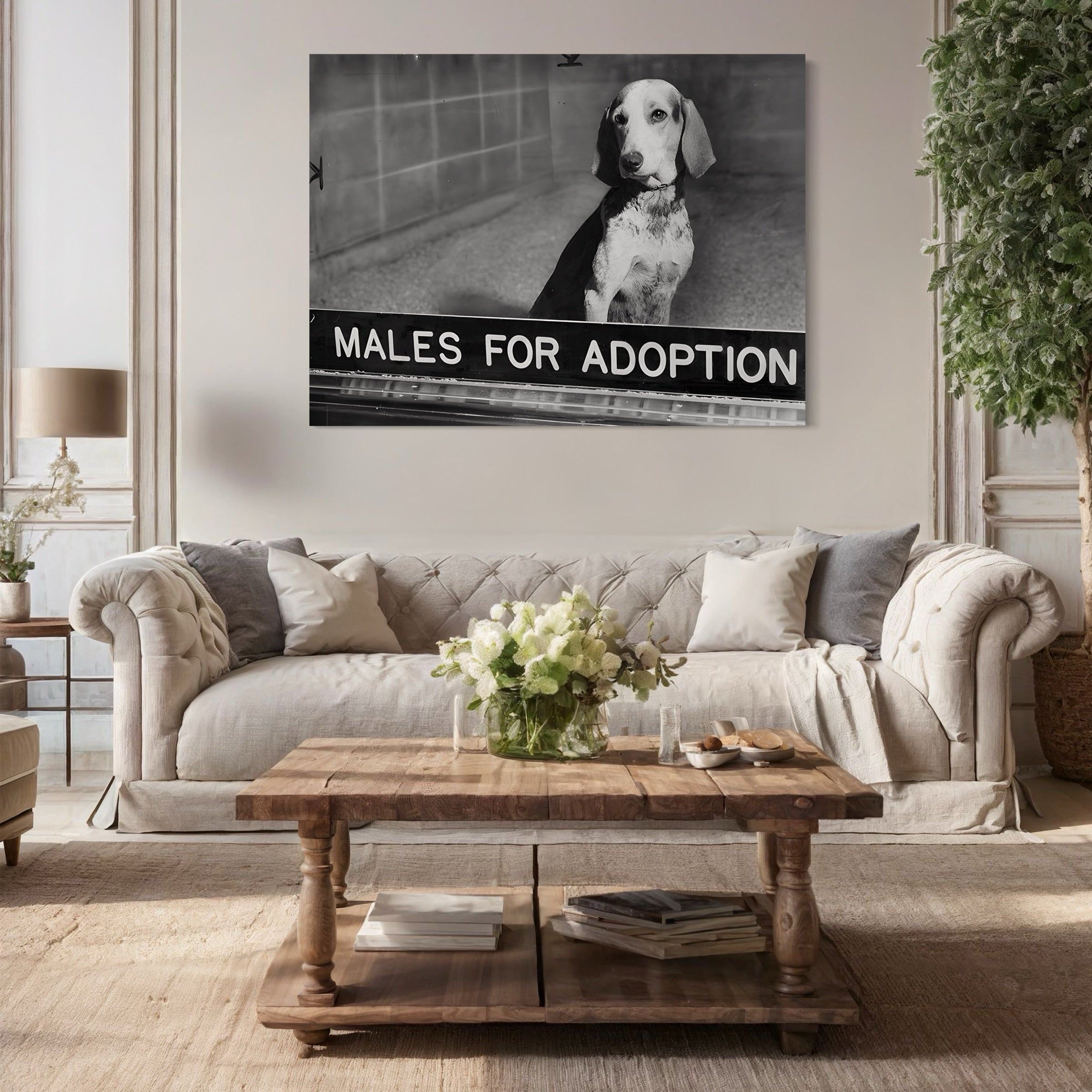 Tableau Vintage - Chien et Panneau Adoption