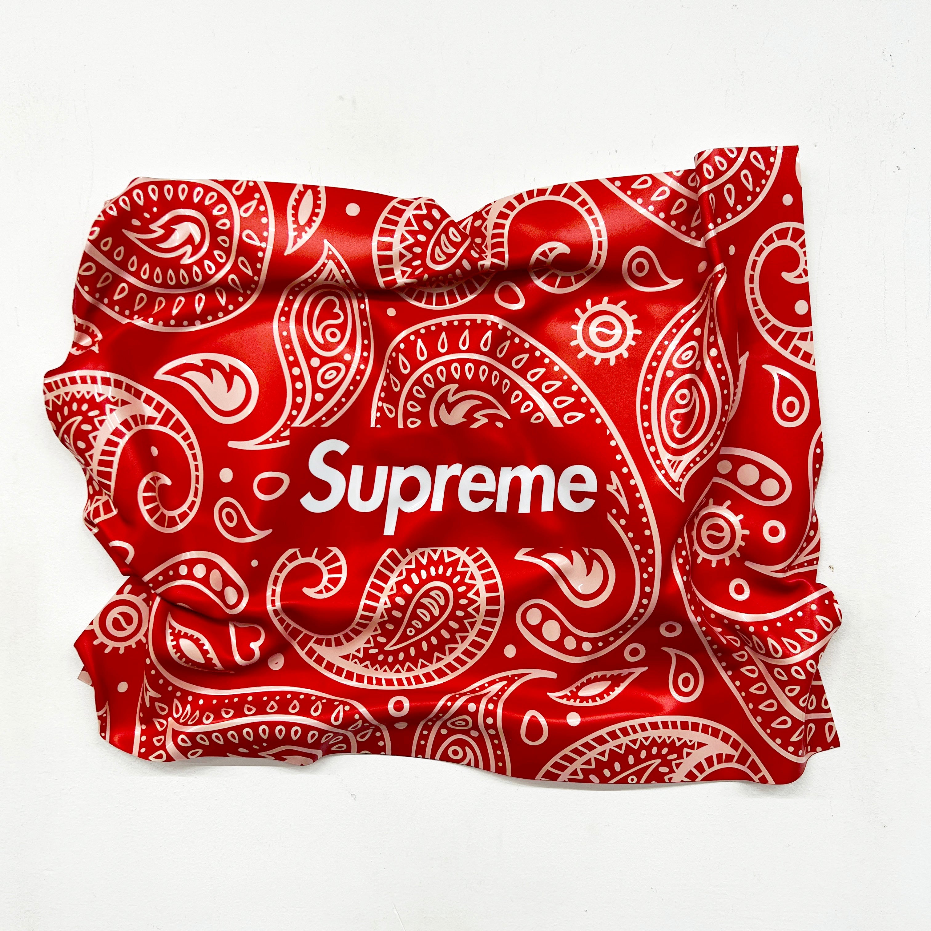 Supreme- Wall sculpture - AVAILABLE ✅