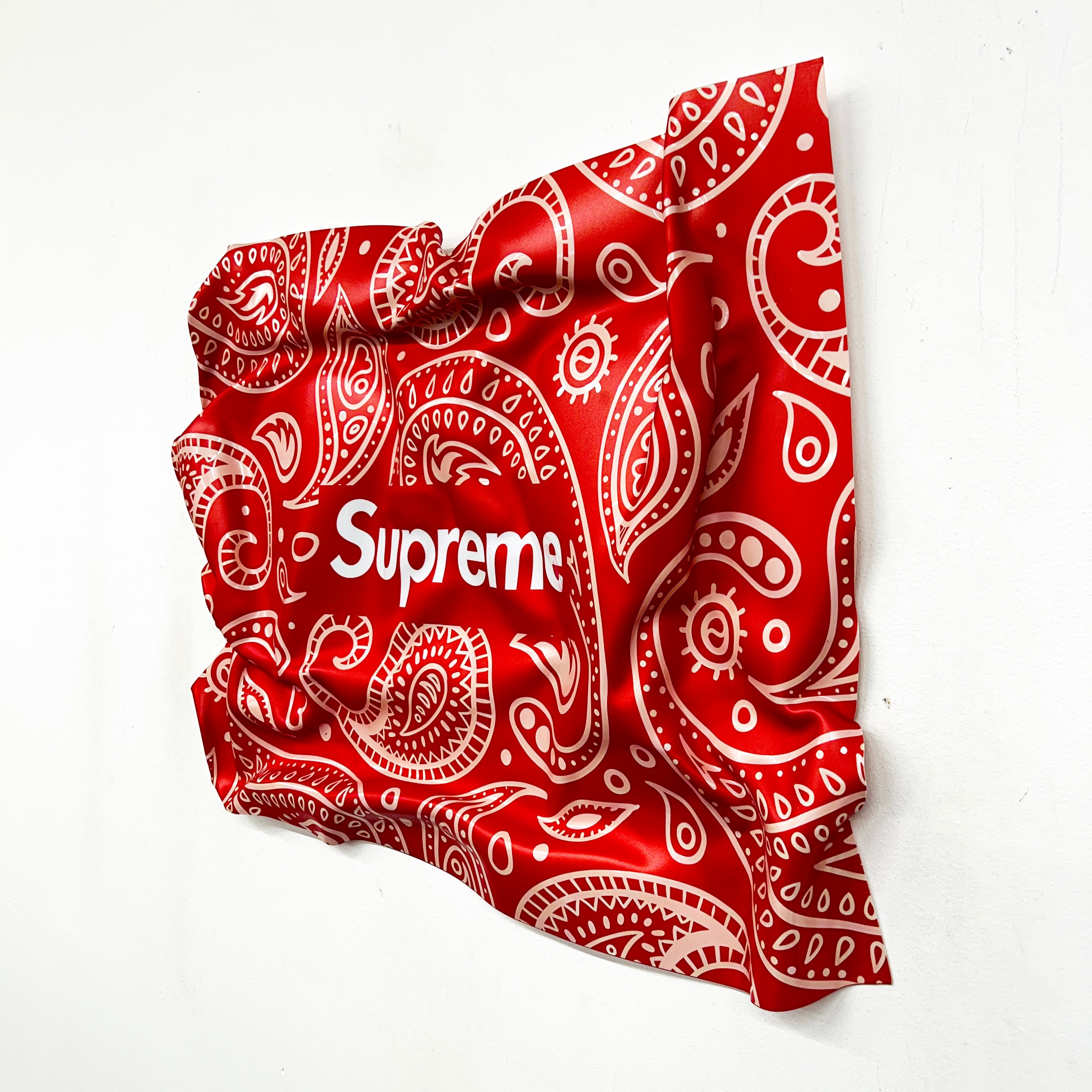 Supreme- Wall sculpture - AVAILABLE ✅