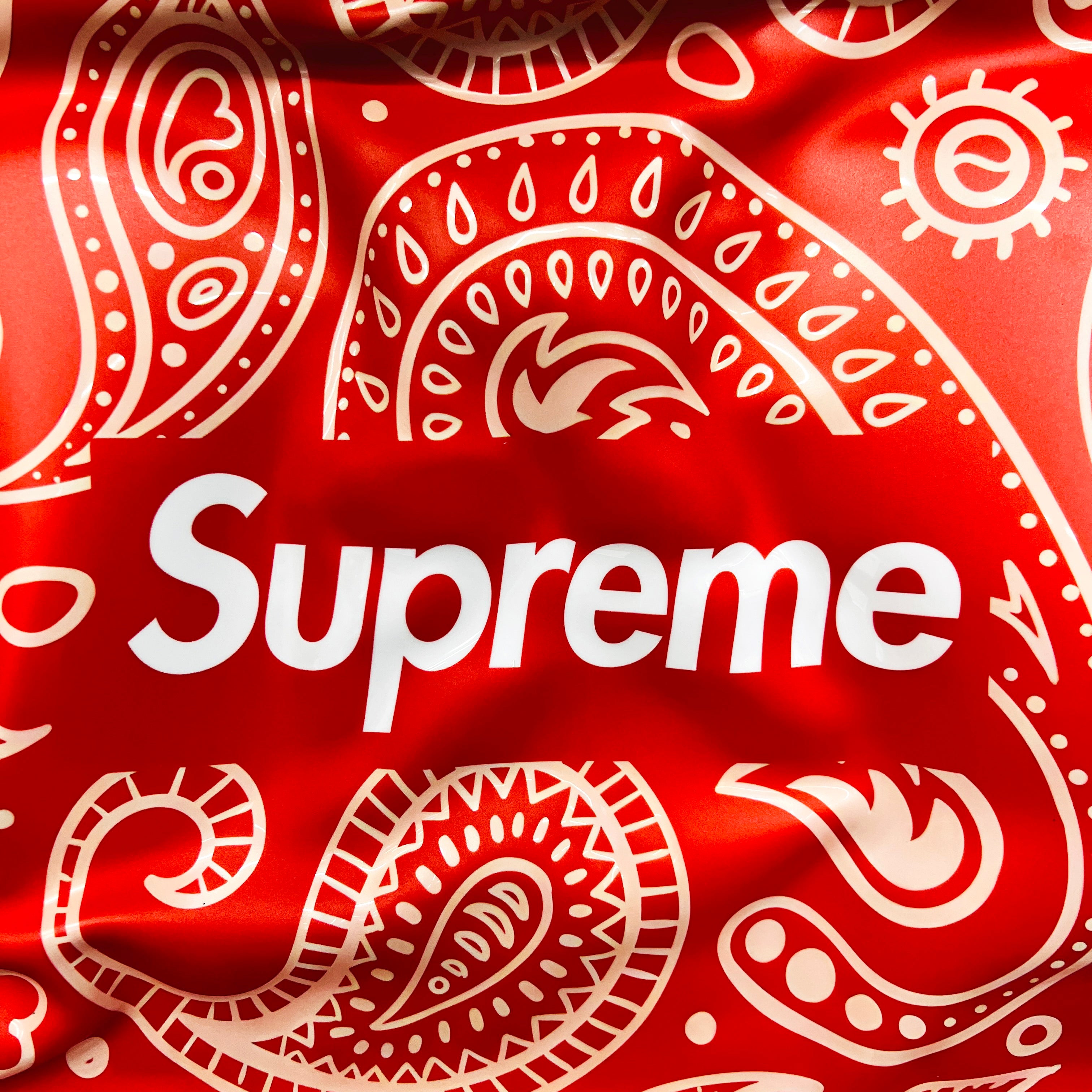 Supreme- Wall sculpture - AVAILABLE ✅