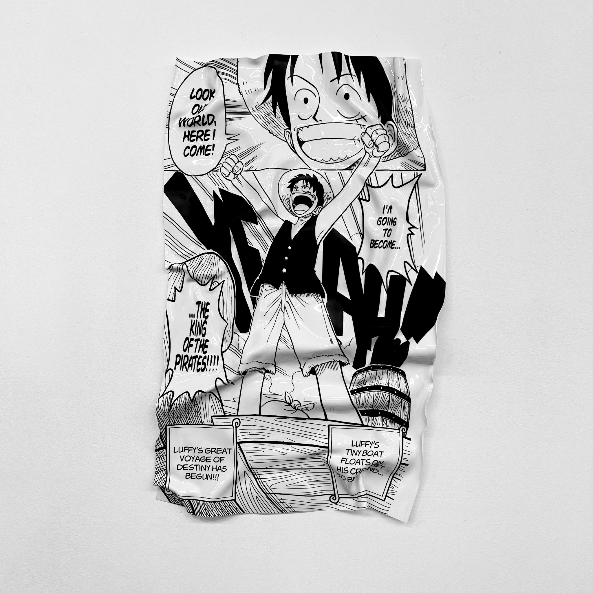 Tableau froissé - One Piece