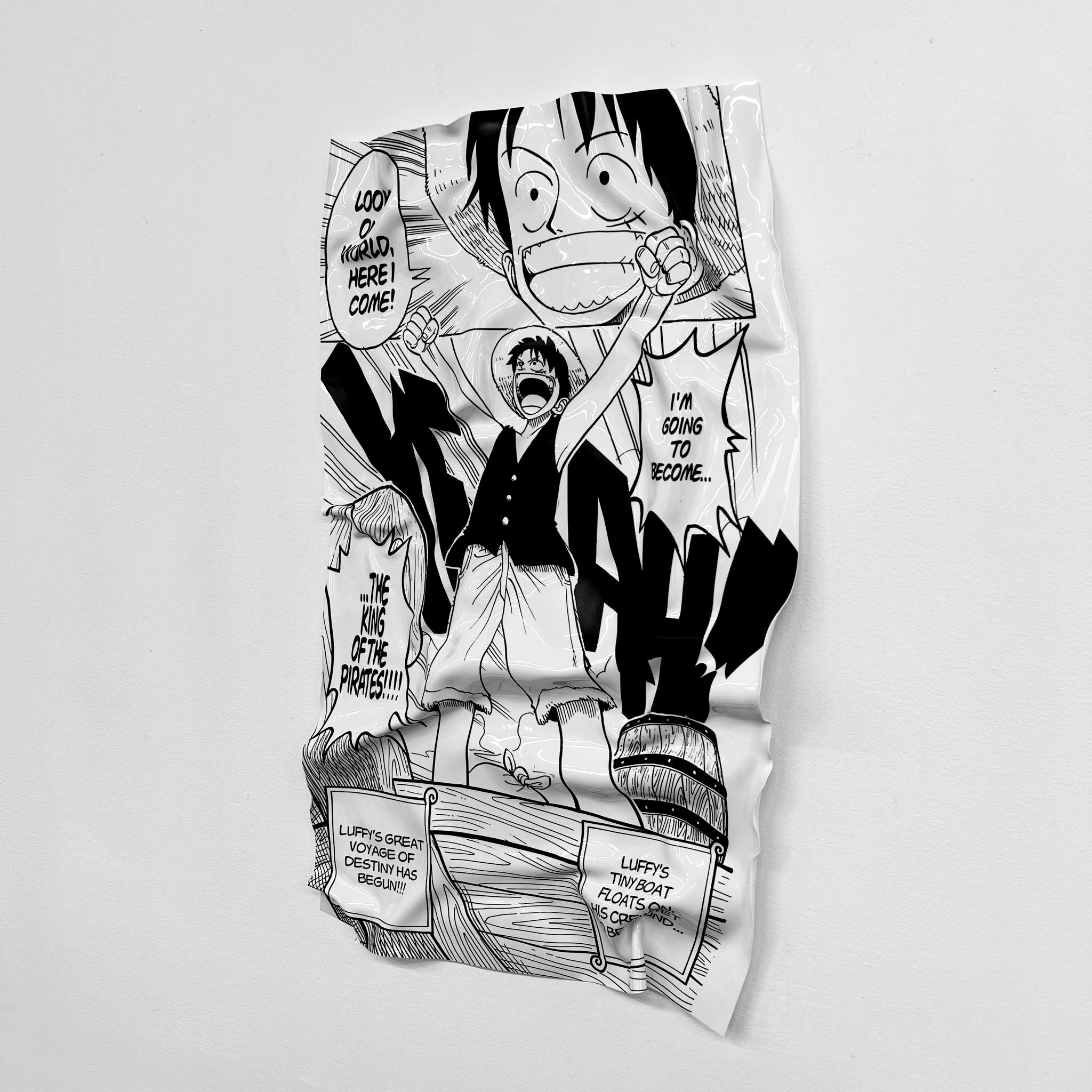 Tableau froissé - One Piece