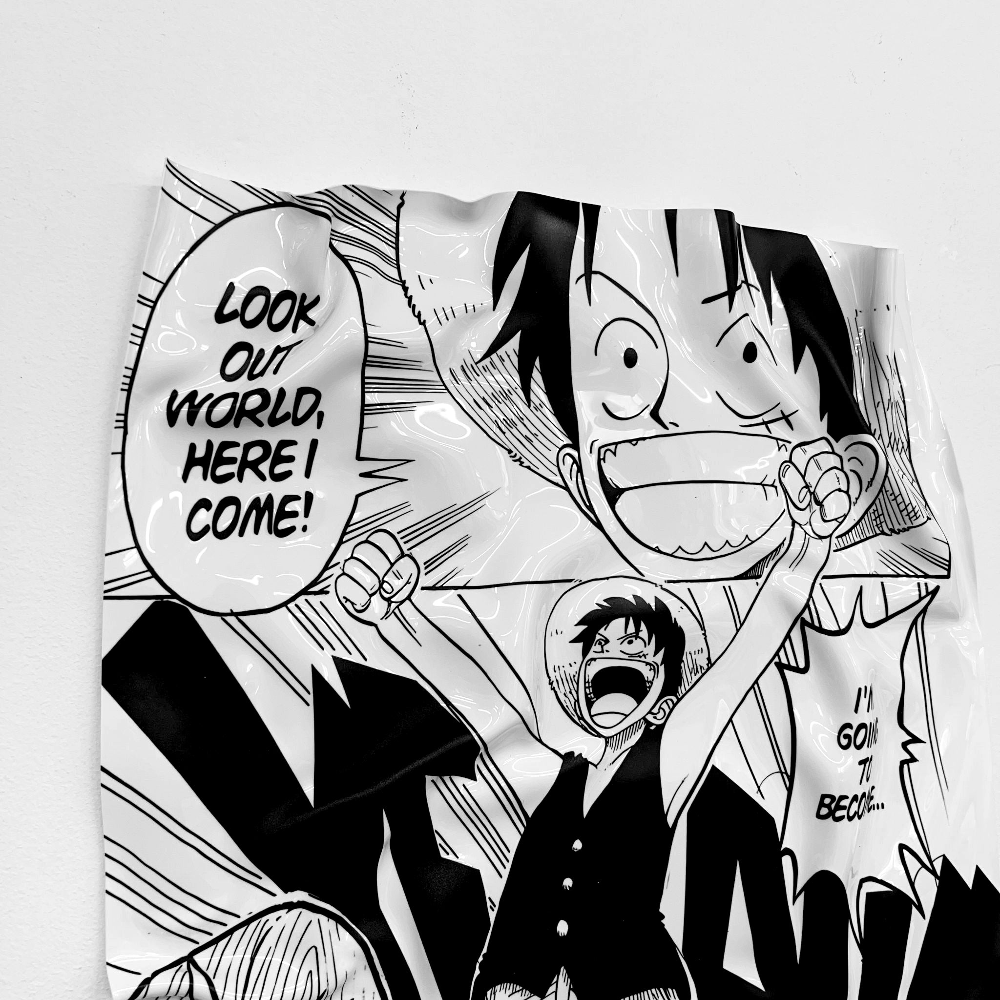 Tableau froissé - One Piece