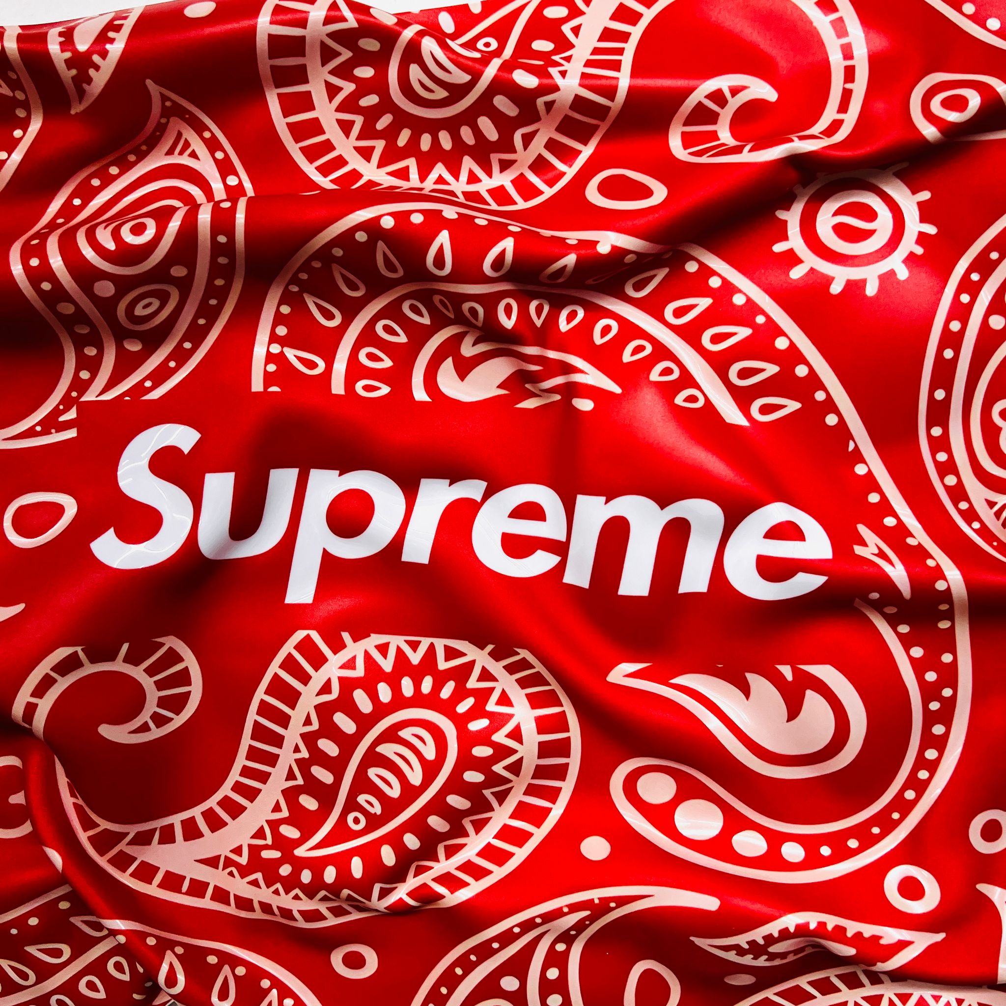 Sculpture Murale - Supreme