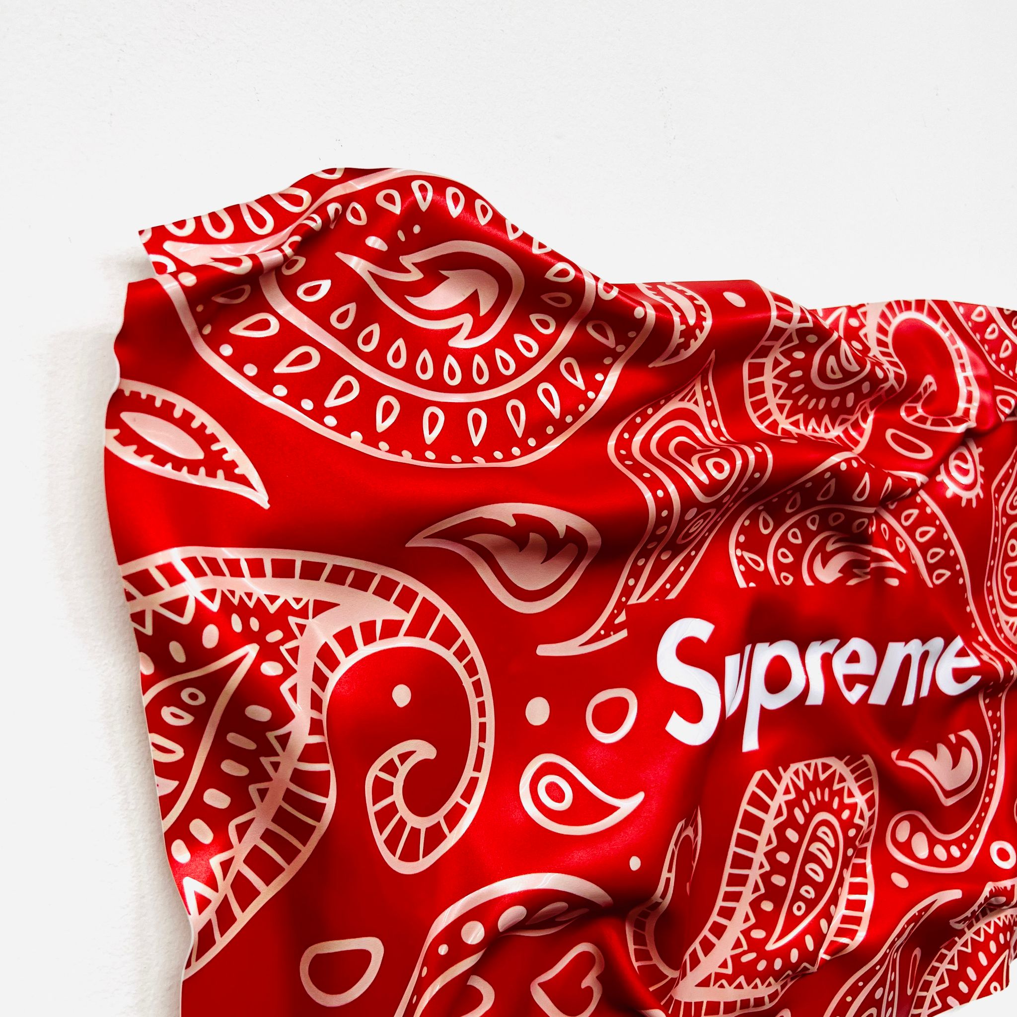 Sculpture Murale - Supreme