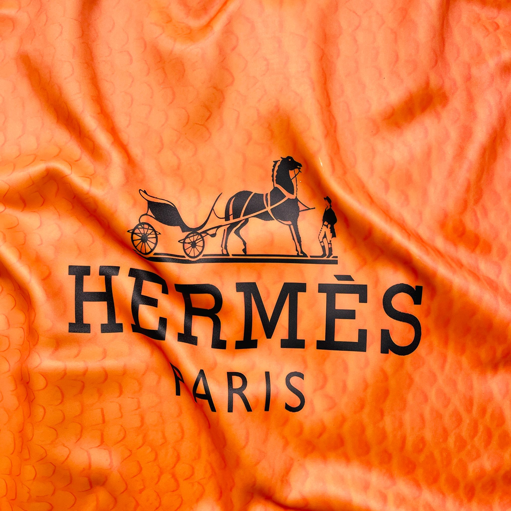 Tableau froissé - Hermès