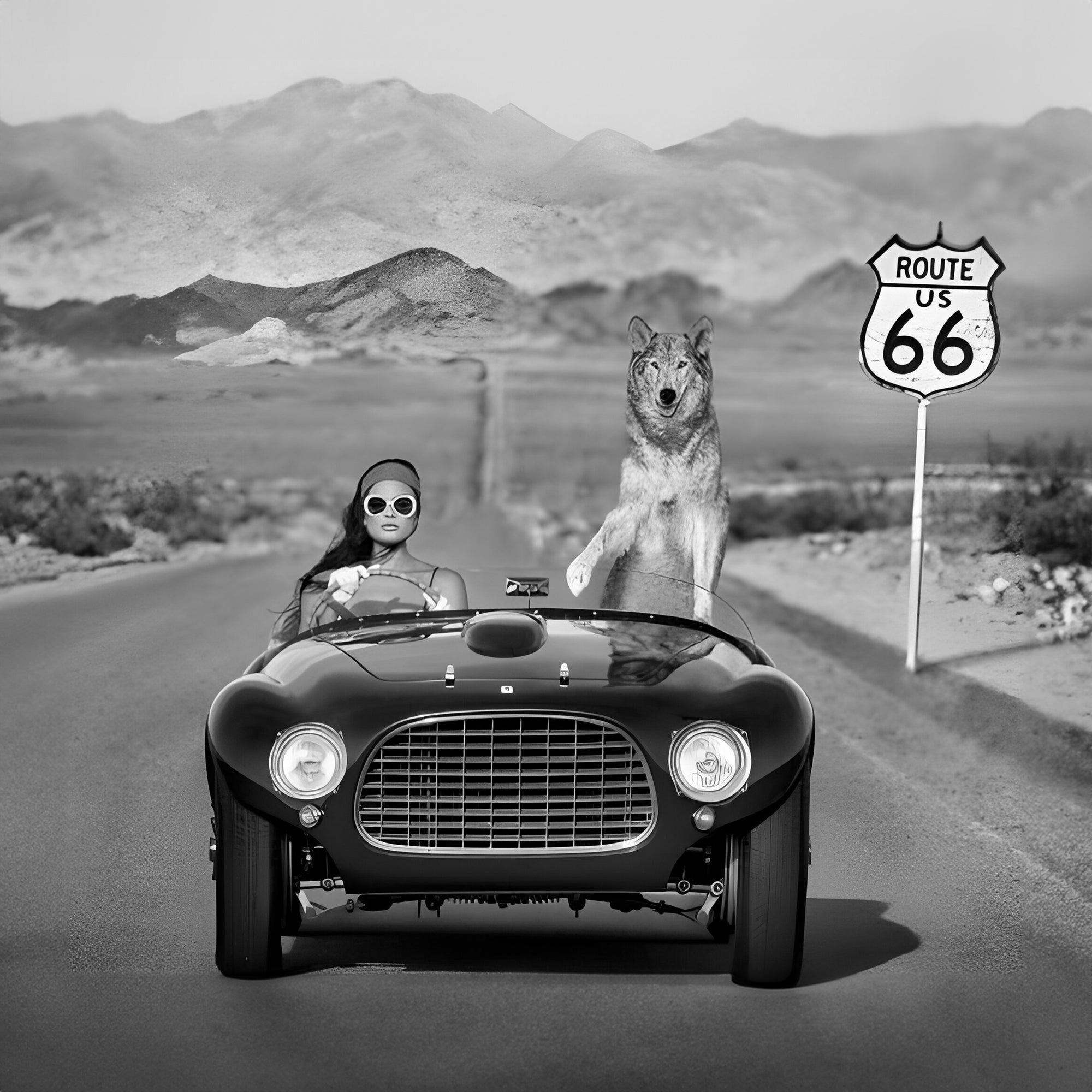 Tableau Vintage - Femme Conduisant sur la Route 66